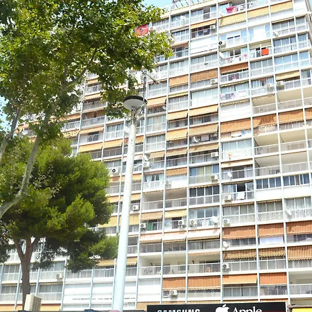 Albatros Appartement